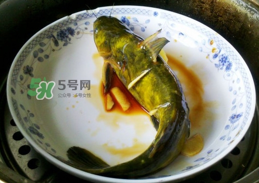 黃刺魚怎么殺？黃刺魚怎么處理
