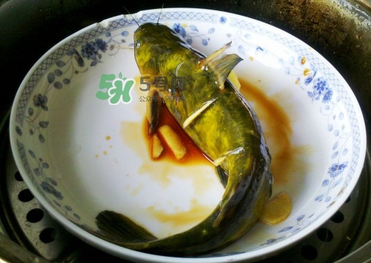 黃刺魚死了能吃嗎？黃刺魚不能與什么同食