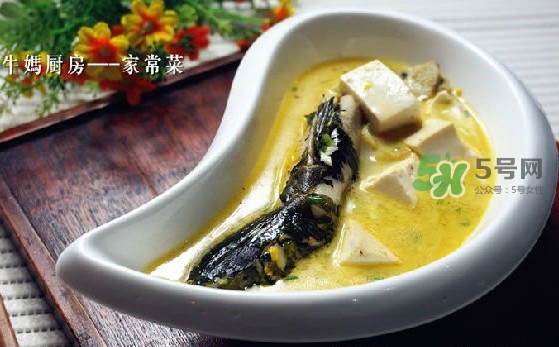 黃刺魚怎么殺？黃刺魚怎么處理