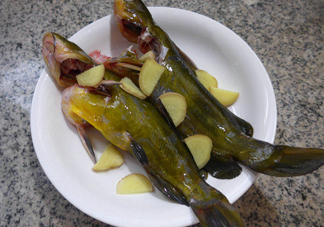 黃刺魚幾月份最好釣？黃刺魚怎么釣