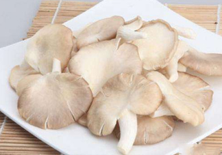 秀珍菇孕婦可以吃嗎？孕婦能吃秀珍菇嗎