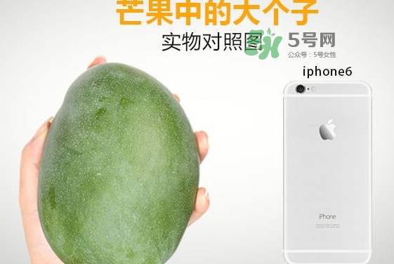 凱特芒果多少錢(qián)一斤？凱特芒果價(jià)格