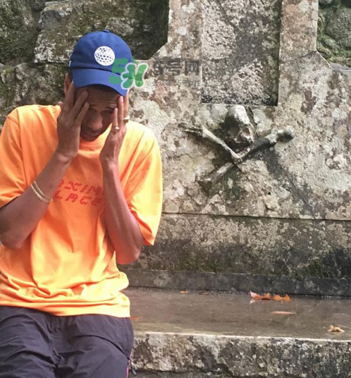 palace2017秋冬新款tri ferg tee什么樣_什么時候發(fā)售？