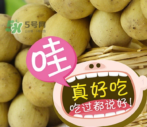 龍宮果孕婦可以吃嗎？懷孕可以吃龍功果嗎