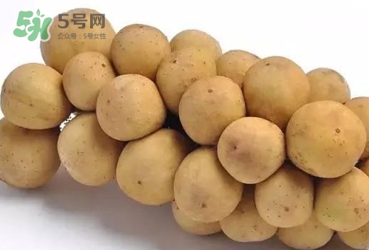 龍宮果多少錢一斤？龍功果價(jià)格表