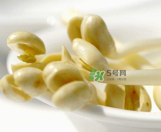 花生芽炒菜吃可以嗎？花生芽能吃嗎