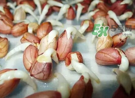 花生芽怎么培育？花生芽怎樣才能發(fā)出來