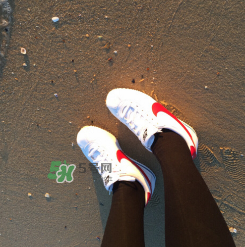 nike cortez jewel皮革版多少錢？耐克阿甘鞋皮革款價(jià)格