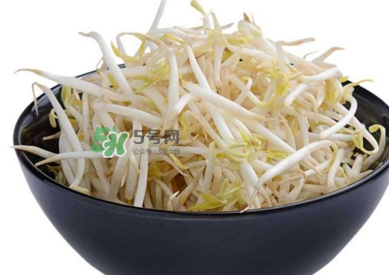 豆芽什么季節(jié)吃？豆芽什么時(shí)候有