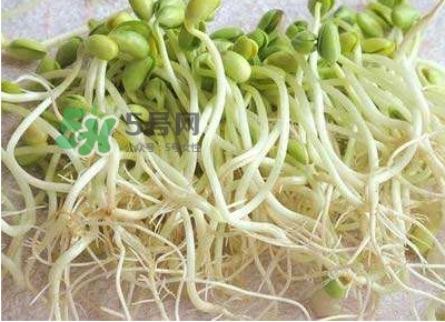 豆芽是發(fā)物嗎？豆芽能見陽光嗎