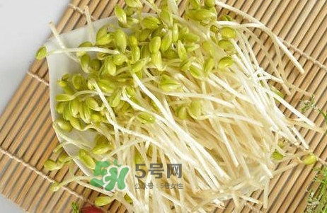 豆芽有根好還是無根好？無根豆芽與有根豆芽區(qū)別