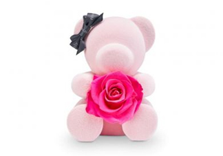 roseonly熊多少錢？roseonly玫瑰熊多少錢？