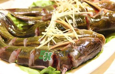 黃蜂魚怎么做好吃？黃蜂魚怎么釣