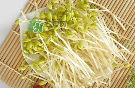 豆芽怎么保存？新鮮豆芽放冰箱能放幾天？