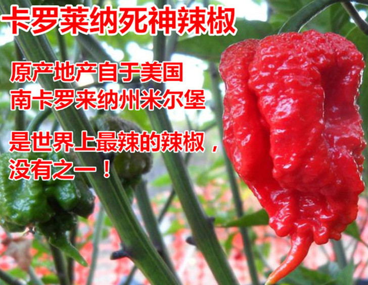死神辣條多少錢一盒？死神辣條能吃嗎