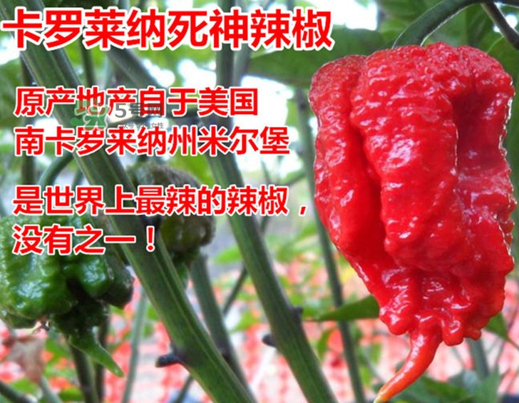 死神辣條哪兒有賣？哪里可以買到死神辣條