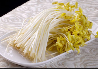 豆芽有綠葉還能吃嗎？豆芽有點爛了還能吃嗎