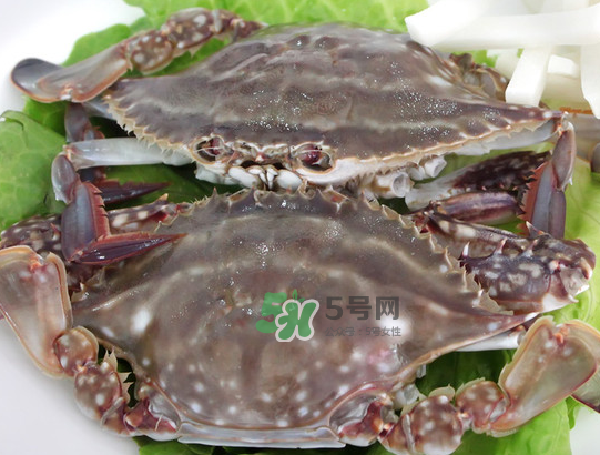 梭子蟹為什么這么貴？梭子蟹和大閘蟹哪個貴？