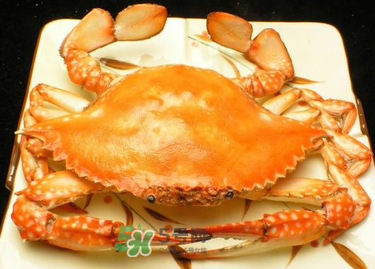 飛蟹什么時(shí)候最肥？飛蟹幾月份最肥？