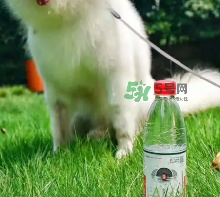 網(wǎng)易云音樂農(nóng)夫山泉樂瓶怎么玩？云音樂農(nóng)夫山泉玩法