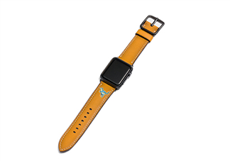 coach apple watch恐龍表帶多少錢？蔻馳蘋果手表恐龍表帶價(jià)格