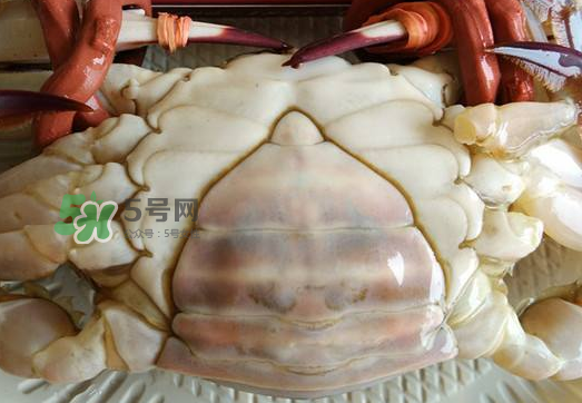 飛蟹多少錢一斤？飛蟹多少錢一斤2017？