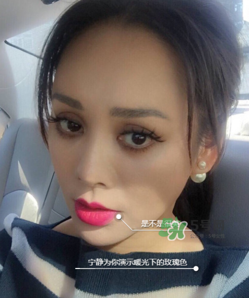 ysl208是什么顏色？ysl208適合黃皮嗎？
