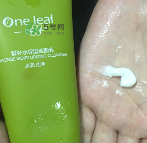 一葉子鮮補水洗面奶怎么樣？一葉子鮮補水潔面乳好用嗎？