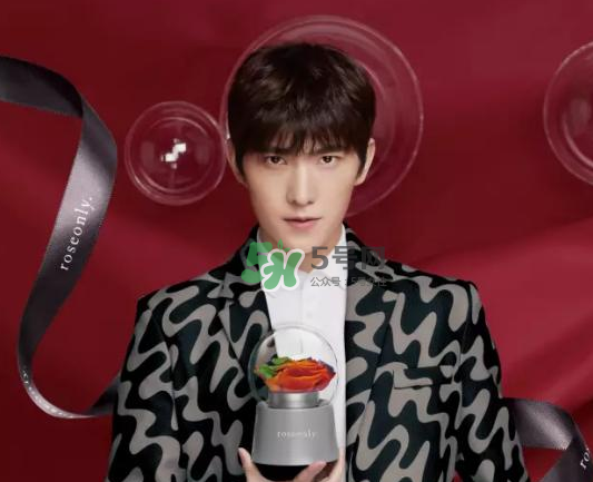 roseonly音樂盒多少錢？roseonly音樂盒歌曲名