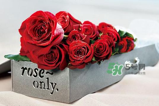 roseonly永生花可以保存多久？roseonly永生花保養(yǎng)