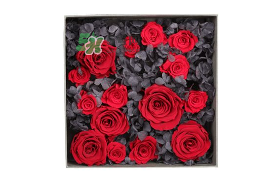roseonly永生花可以保存多久？roseonly永生花保養(yǎng)