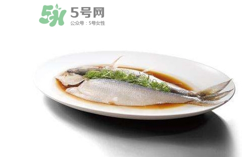 鰣魚還有嗎？長江鰣魚滅絕了嗎