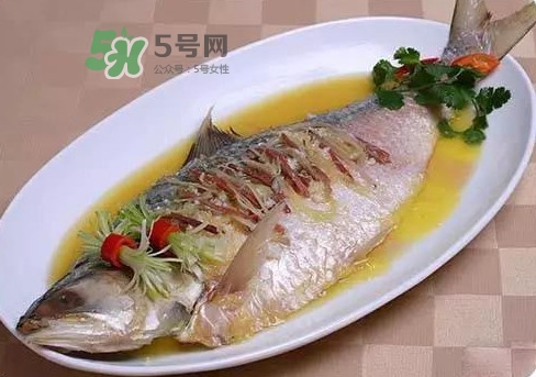 鰣魚怎么讀？鰣魚是什么魚