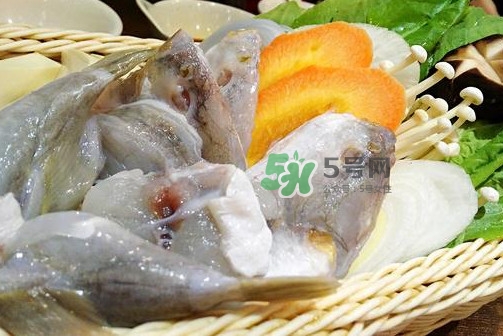 河豚可以當(dāng)寵物養(yǎng)嗎？河豚可以用淡水養(yǎng)嗎