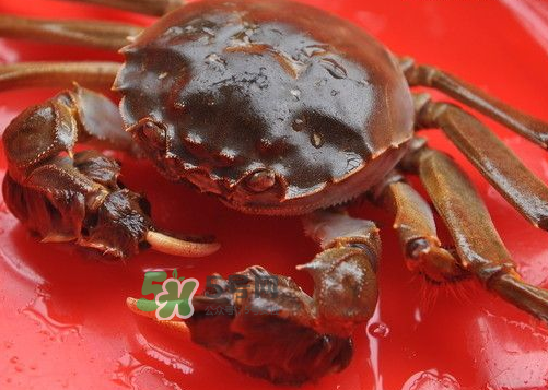 大閘蟹可以帶上高鐵嗎？坐高鐵可以帶大閘蟹嗎？