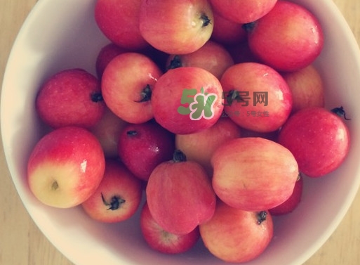 海棠果是涼性的嗎？海棠果是熱性還是涼性