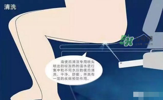 孕期可以蹲著上廁所嗎？孕期上廁所會壓到寶寶嗎？