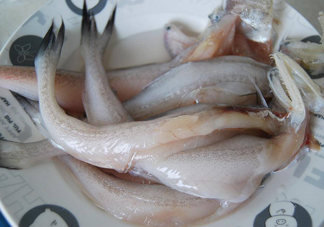 買龍頭魚怎么挑選？冰凍龍頭魚怎么去內(nèi)臟