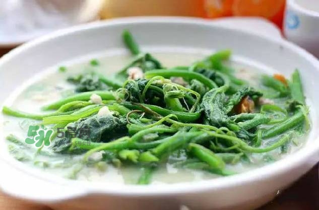 南瓜苗怎么做好吃？南瓜苗怎么撕？