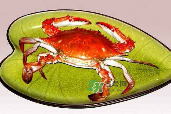 海螃蟹蒸多長時間？海螃蟹蒸多久？