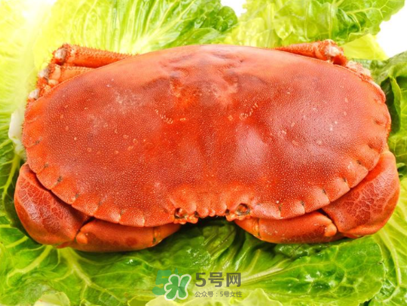 面包蟹和帝王蟹哪個好吃？面包蟹好吃還是帝王蟹好吃？