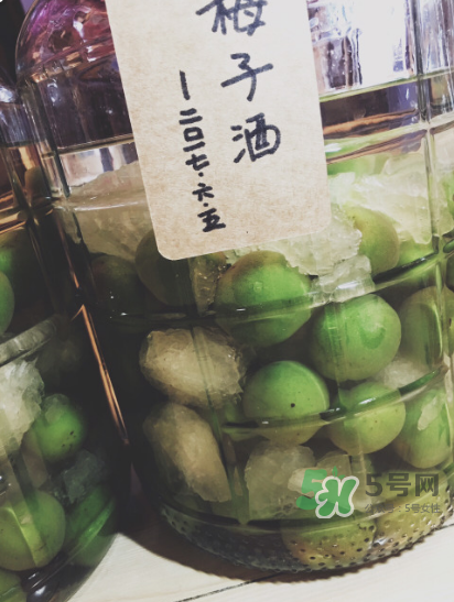 自制青梅酒的做法 青梅酒泡多久可以喝？