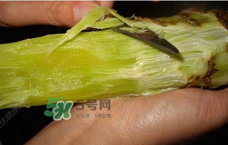 青筍怎么處理？青筍怎么切成菱形