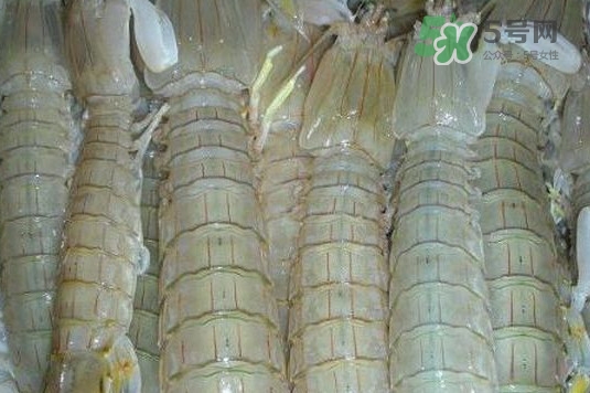 蝦蛄怎么讀？蝦蛄多少錢一斤