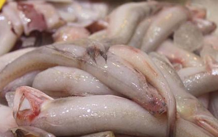 龍頭魚(yú)怎么做好吃？龍頭魚(yú)干怎么做好吃