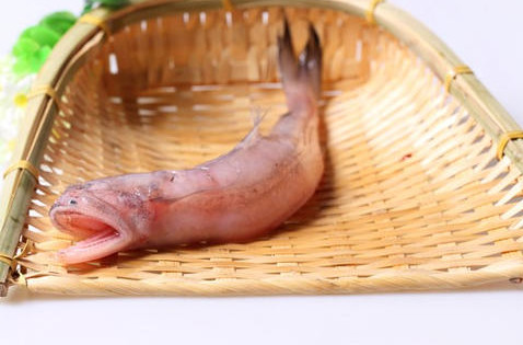 龍頭魚(yú)怎么做好吃？龍頭魚(yú)干怎么做好吃