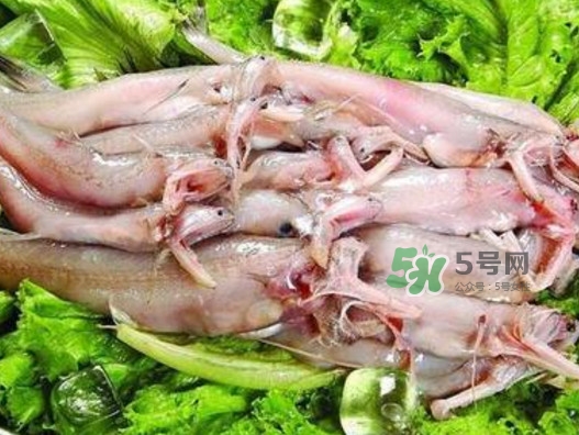 龍頭魚還有別的名嗎？龍頭魚有哪幾種做法