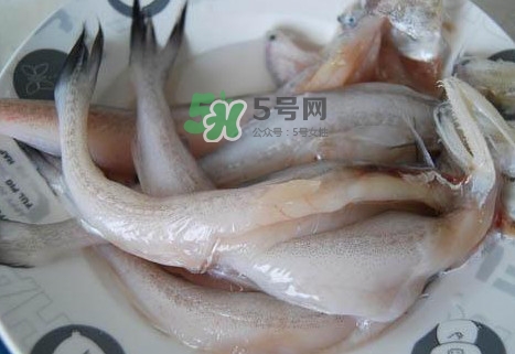龍頭魚怎么殺？龍頭魚怎么處理？