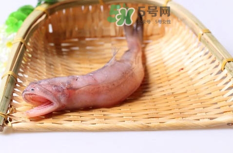 龍頭魚(yú)身是什么神獸？龍頭魚(yú)身是什么寓意