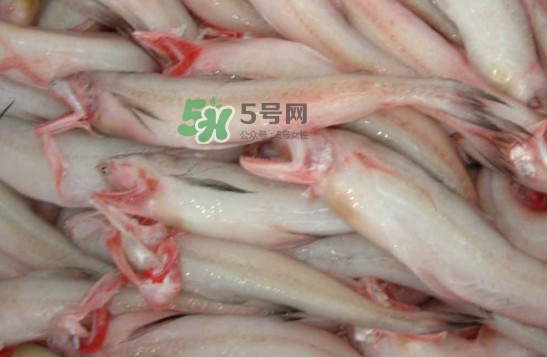 龍頭魚怎么炸？龍頭魚怎么做湯
